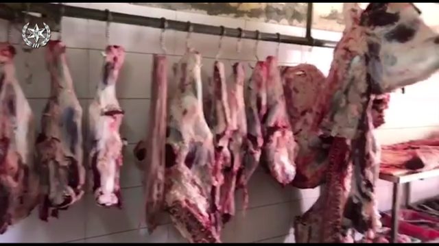 اعتقال مشتبهين بعد ضبط 6 طن لحوم ذبحت بلا رقابة